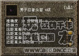 绝对极品(47区)