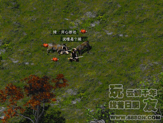 开心快乐情侣（55区）