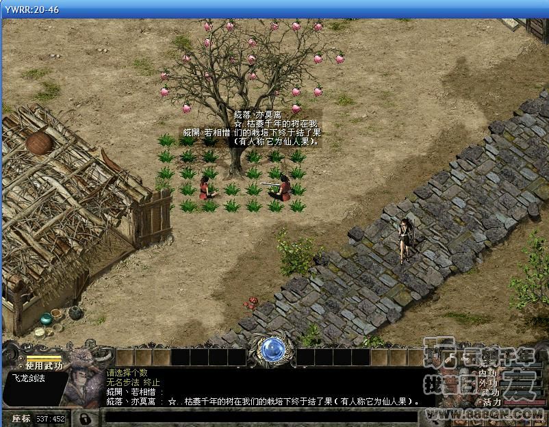 爱的果实[20-46区]
